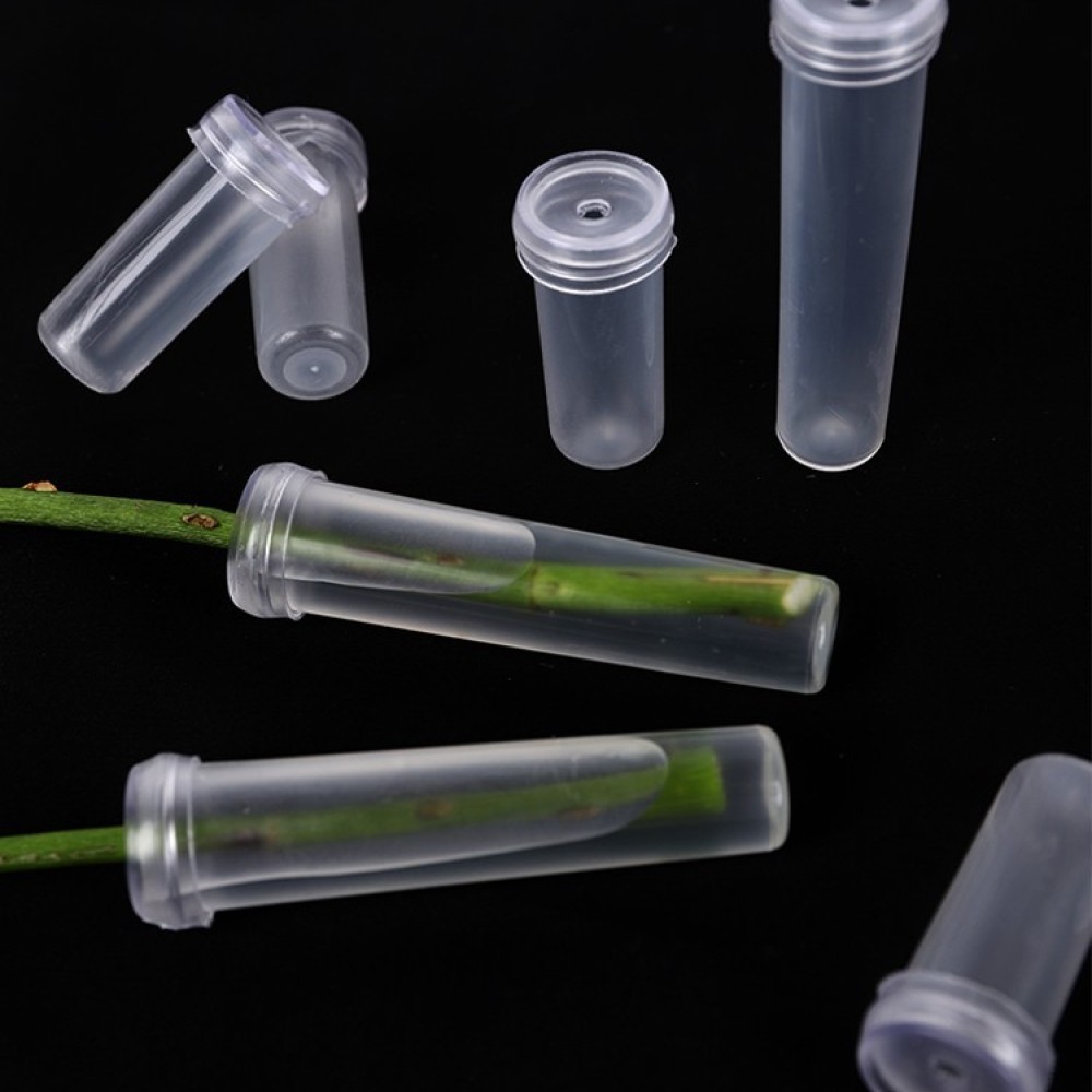 Florist Supply Wholesale - Langdurige bloemenwaterflesjes voor vershoudende voedingsstoffen voor