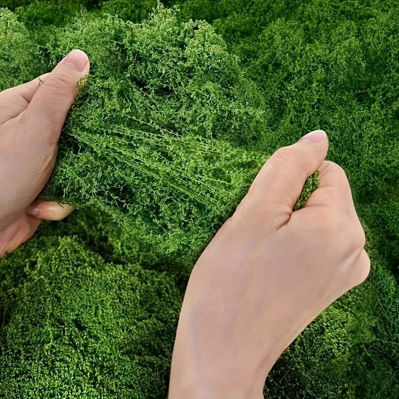 20' x 20' Kunstmosmat voor pla - Preserved Moss Sheet recensie en prijs