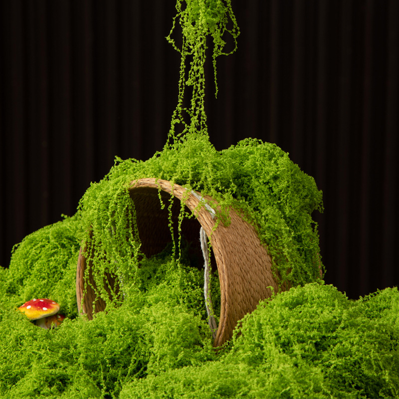 200g Eeuwig leven mos DIY amba - Preserved Moss Sheet recensie en prijs