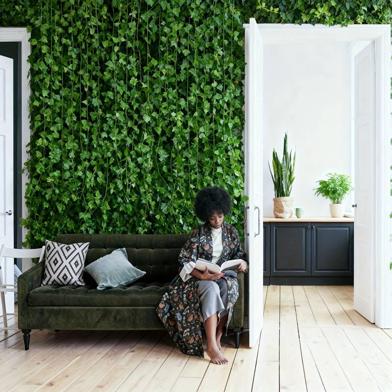 24 STKS Totaal 19 m/755 inch I - Preserved Moss Sheet recensie en prijs