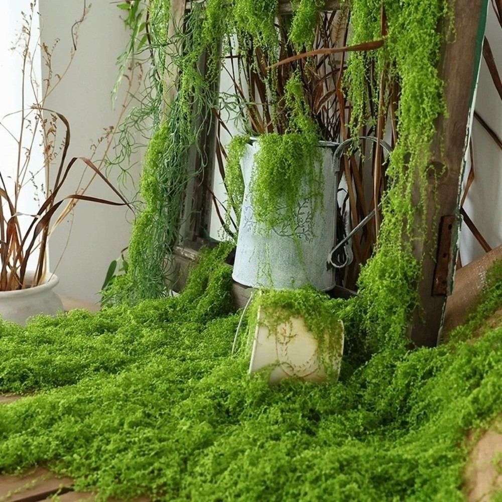 DIY Kunstgras Tapijt Duurzaam  - Preserved Moss Sheet recensie en prijs